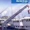 Marine Boom Jib Crane 40tons avec le pivotement hydraulique pour le bateau 18m/Min